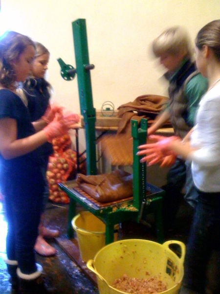 Apple Pressing Festival update