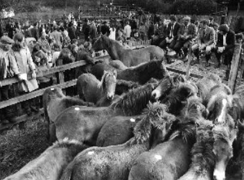 Bampton Charter Fair. ..Music, Crafts, Food, Folklore & Exmoor Ponies. Thursday October 29th 2015