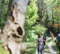 Aperture: 5
Camera: Canon EOS 5D Mark III
Iso: 640 Woodland Weddings