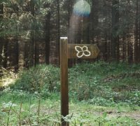 Aperture: 6
Camera: Canon EOS 5D Mark III
Iso: 6400 Cris Cross of woodland walks