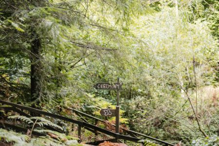 Woodland aisles, walks and glades IAPA0380