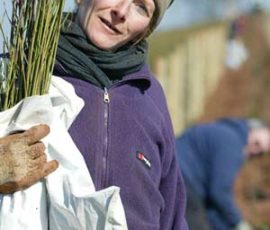 Outdoor activities and bush schools