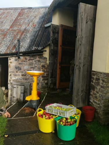 Cider Press