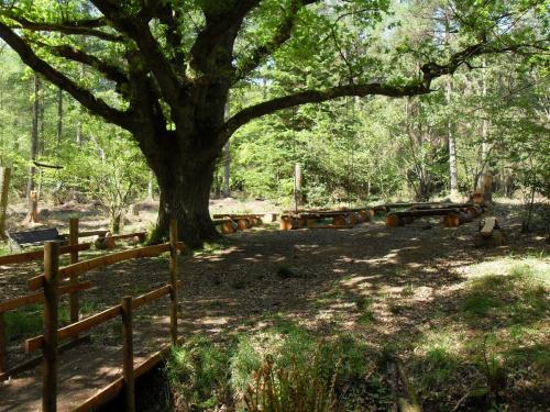 Outdoor classroom